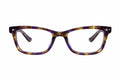 Sunset Violet Tortoise