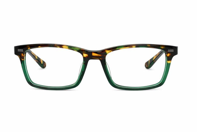 Echo Park Green Tortoise