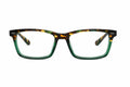 Echo Park Green Tortoise