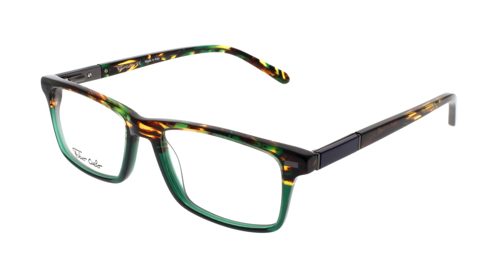 Echo Park Green Tortoise