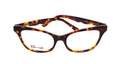Fairfax Tortoise