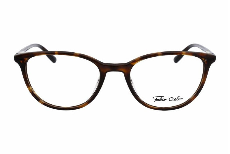Los Feliz Tortoise