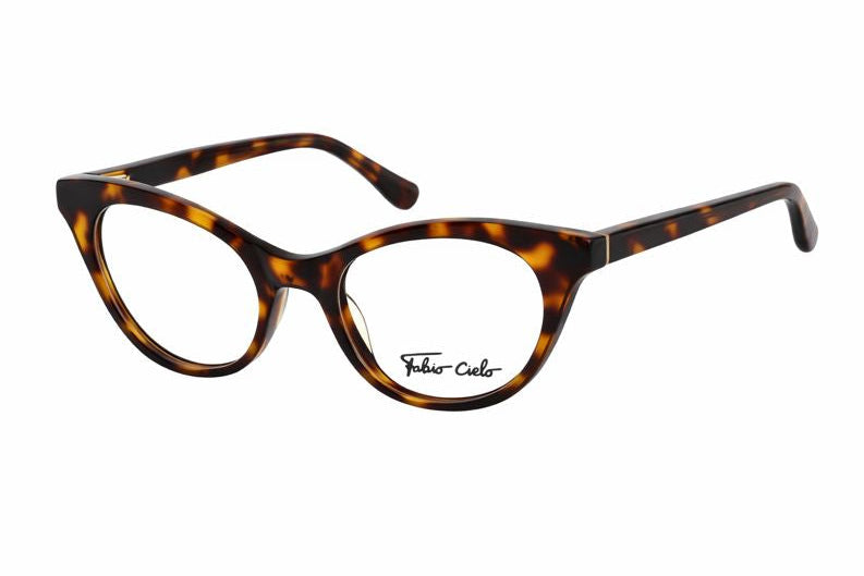 Pacific Palisades Tortoise