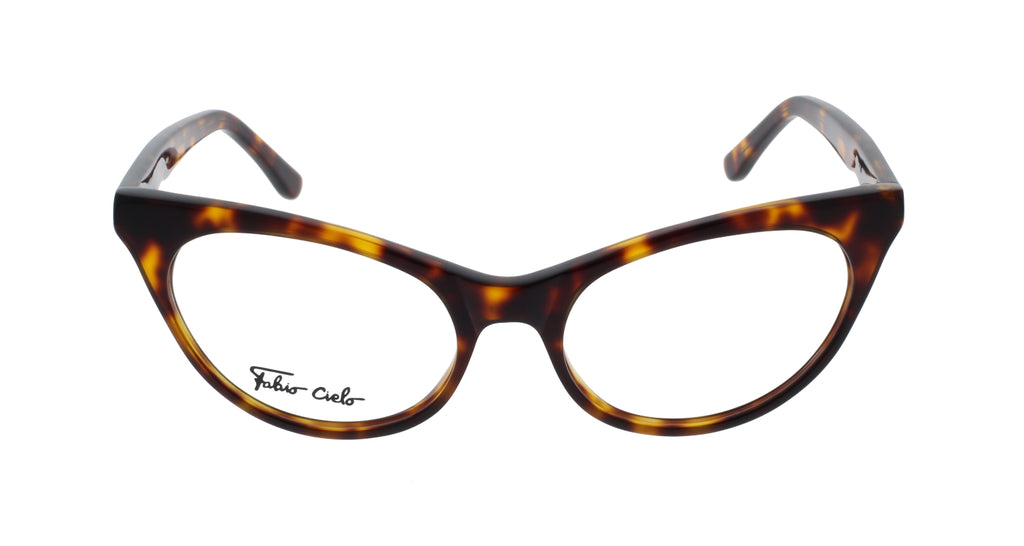 Pacific Palisades Tortoise