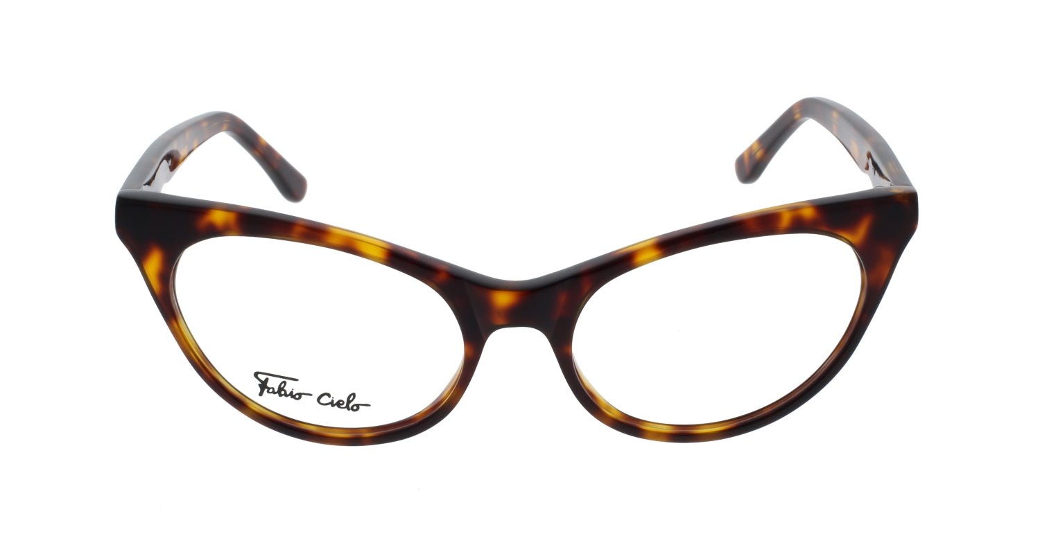 Pacific Palisades Tortoise